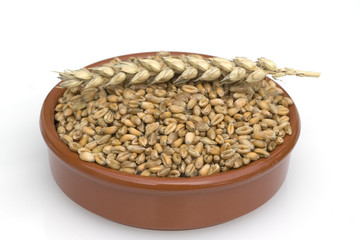 Weizenkoerner, Weizen, Triticum, aestivum,