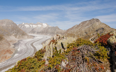 Riederalp, Dorf, Schweizer Alpen, Aletschgletscher, Wallis