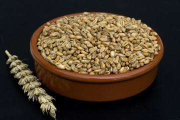 Weizenkoerner, Weizen, Triticum, aestivum,