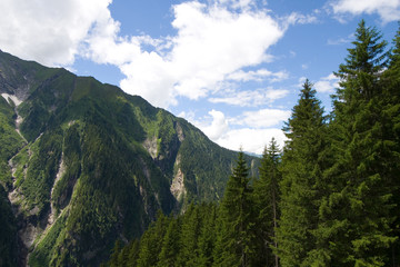 Fototapeta premium Stilluptal - Zillertal - Alpen