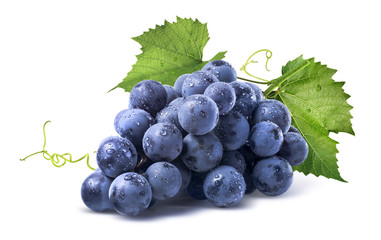 Fototapeta Blue wet grapes bunch isolated on white background obraz