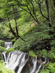 軽井沢・白糸の滝へ向かう道で
