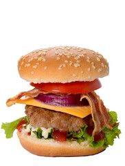 Burger isolated