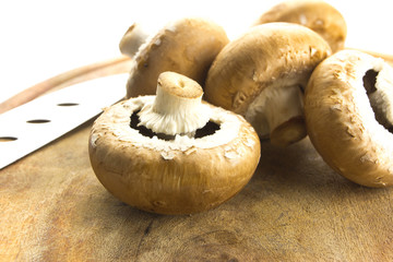 Brown champignon mushroom on wood