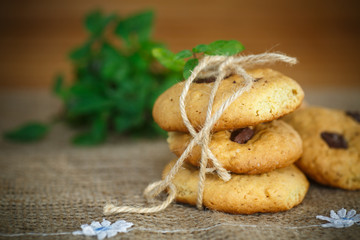 homemade cookies with chocolate chips