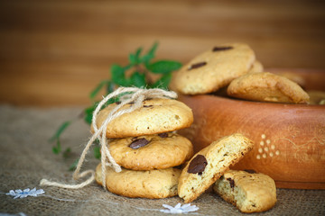 homemade cookies with chocolate chips