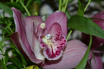 предложение © Tataurova Nataliya