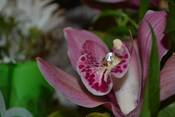 Свадьба © Tataurova Nataliya