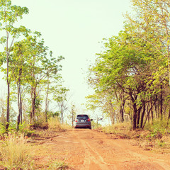 Forest - instagram filter 