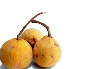 Santol fruits