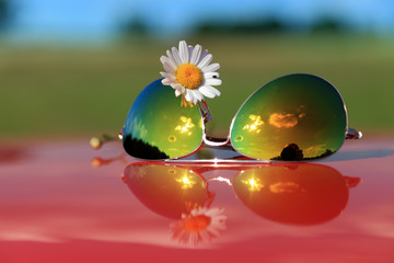 Okulary przeciwsłoneczne i biały kwiatek z odbiciem. - obrazy, fototapety, plakaty