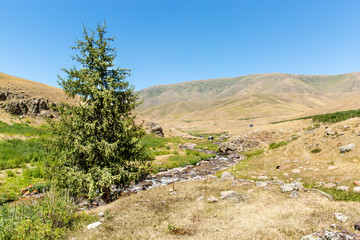 Fototapeta na wymiar Assy plateau in Tien-Shan mountain in Almaty, Kazakhstan