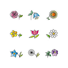 Set of Nine Flowers Isolated on White Background