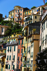 Fototapeta premium Traditional Mediterranean architecture of Riomaggiore, Italy