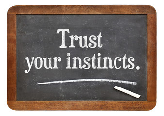 Obraz premium trust your instincts