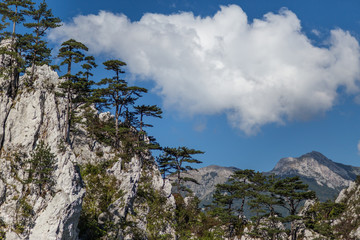 Fototapeta na wymiar Mountain scenery in the Transylvanian Alps, in summer