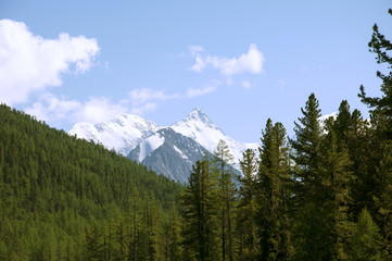 Mountain Altai, Belukha