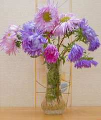 Asters flowers in vase