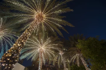 Foto op Plexiglas Palmboom kerst achtergrond palmboom