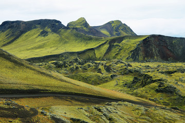 Volcanic landscape covered with moss © estivillml