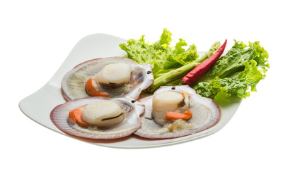 Raw fresh scallop