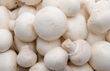Fresh button mushrooms