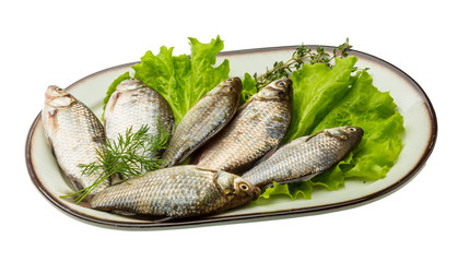 Crucian fish