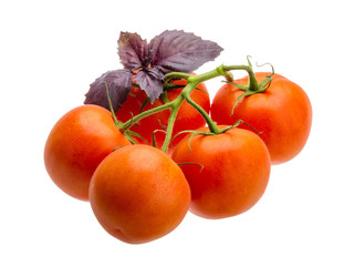 Tomatoes on the branch