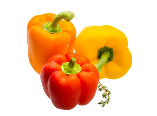 Bulgarian Pepper