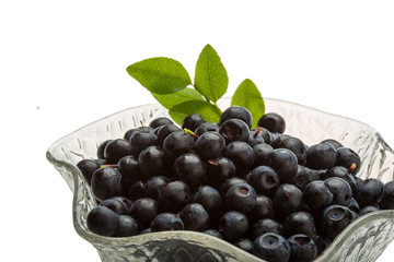 Blueberry