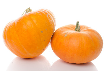 Nice big pumpkins