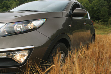 car in a wheat field summer SUV