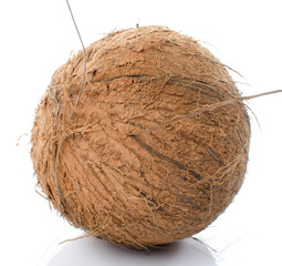 Whole coconut