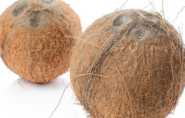 Whole coconuts