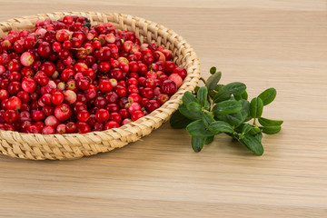 Cowberry