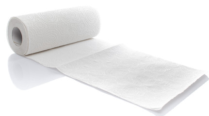 Paper towel roll