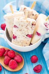 Frozen yogurt with oats and raspberries