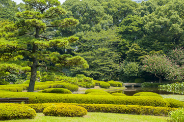 Japanese garden - 70967550