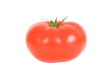Tomate komplett