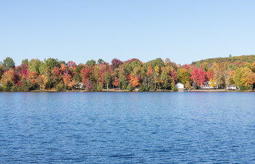 Fall colors in cottage country