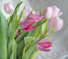 Light-pink tulips