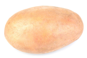 Fresh potato isolated on white