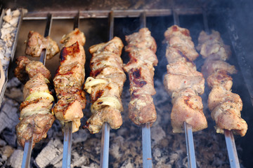 Skewers and vegetableq on barbecue grill, close-up