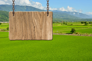 Blank wooden sign