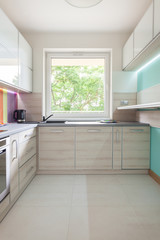 Contemporary kitchen