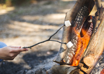 Roasting Marshmallows