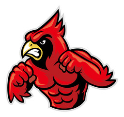 cardinal bird mascot show his muscle
