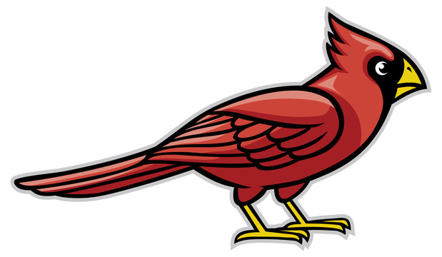 Cardinal Bird Cartoon – Bla 2,923 arkivbilder, vektorer og videoer | Adobe Stock