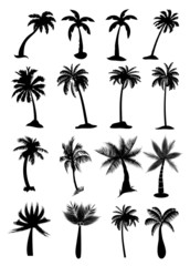 Palm tree icons set