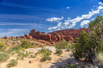 Arches National Park
